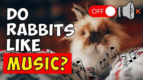 Do Rabbits Like Music? And Can They Dance to the Beat of Carrots?